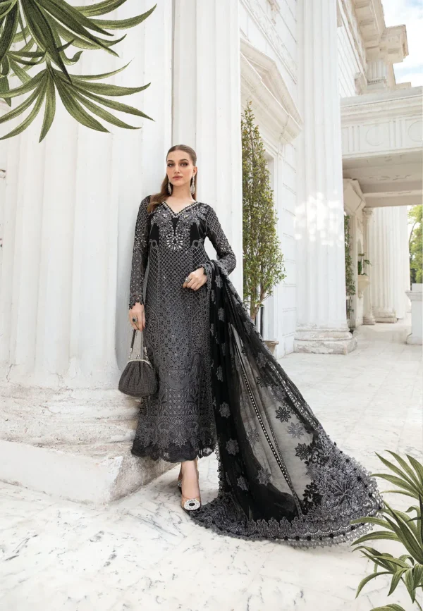 Elegant black embroidered Pakistani dress with intricate detailing and a net dupatta, styled in a regal outdoor setting.