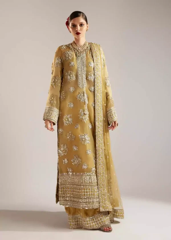 Luxurious gold embroidered Pakistani bridal outfit with intricate handwork and embellishments.