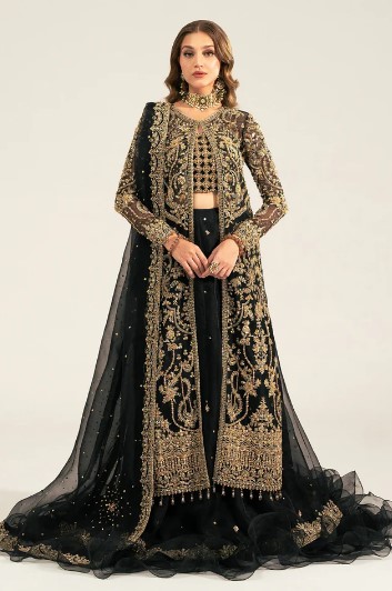 Kathan Organza Outfit