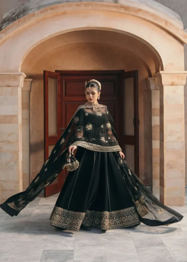 Beautiful Black fancy dress for wedding in affordable price in pakistan